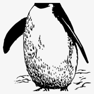 Penguin Clipart Black And White Amazing Of Penguin - Black And White Penguin Clipart #9888956