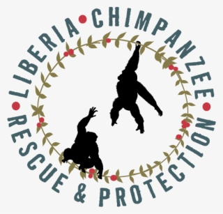 Interested In Becoming A World Chimpanzee Day Partner - Silhouette #9889282