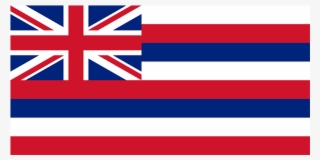 Hawaii Flag #9889347