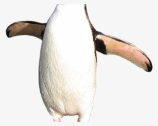 Emperor Penguin Clipart Royal Penguin - Retro Penguin No Background #9889430