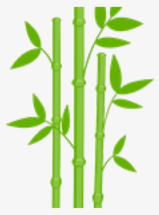 Bamboo Clipart Transparent Background - Bamboo Transparent #9890053