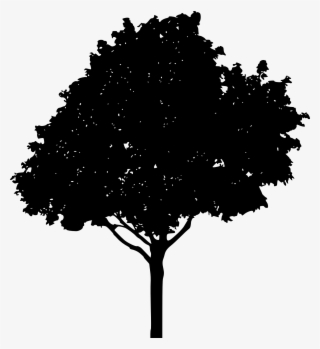 Tree Silhouette Clipart #9891408 Tree Silhouette Clipart #9891408