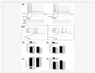 Heantos Does Not Affect Burst Firing In Trn Neurons - Diagram #9892055