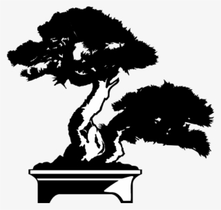 Yelm Bonsai Nursery - Bonsai Tree Clipart #9892223