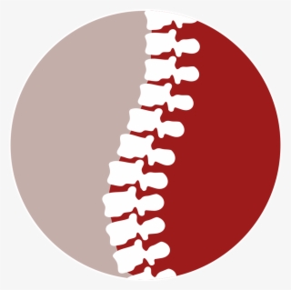 Spine Icon #9892227