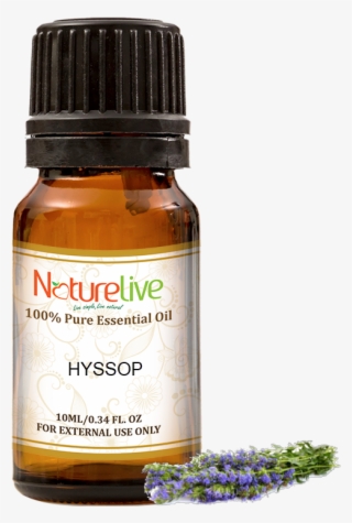 Hyssop Essential Oil 10ml - Essential Oil #9892408