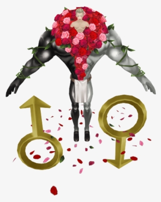 Download Zip Archive - Bouquet #9892454