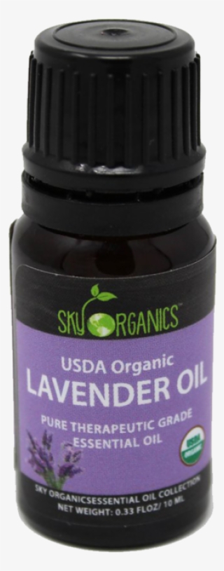 Larger / More Photos - Siberian Ginseng #9892540