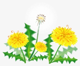 Hand Painted Dandelion Vector Material 3125 - Vector Graphics #9893221
