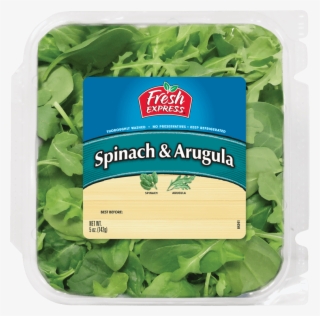Cruciferous Vegetables #9893405
