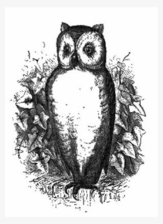 This Free Icons Png Design Of Owl Two - Great Horned Owl #9895268