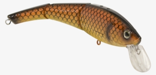 Fish Hook #9897738 Fish Hook #9897738