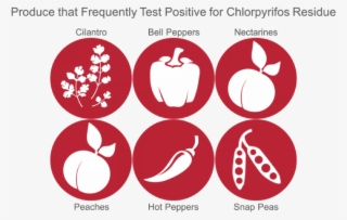 Produce Most Likely To Contain Chlorpyrifos - Emblem #9898378