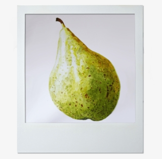 Hilary O'connell - Avocado #9899970