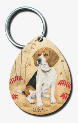 052 Beagle - Dog #990124