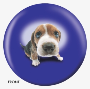 Beagle Bowling Ball #990128