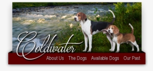 United States Of America #990185