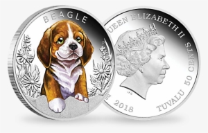 Beagle 2018 1/2 Oz Silver Proof Coin - 2018 Year Of The Dog Lunar 1oz Silver Proof Coloured #990382