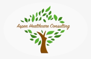 Why Aspen Healthcare Consulting - Health Care #991453