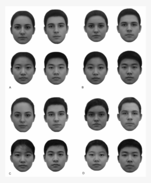 12 May - Human #991611