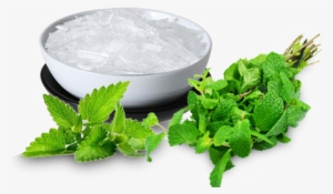 Menthol Crystal - Vi-tae Blackhead Remover Pore Minimizer & Unclogger #991732