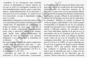 Modelo De Depredador Artificial - Document #991777