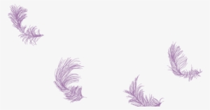 The Artist, Dawn Setford Is Status First Nations Registered - Sea Slug #991862