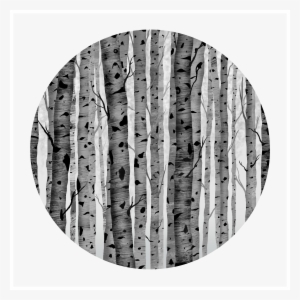 Aspen Trees - Tree #991913