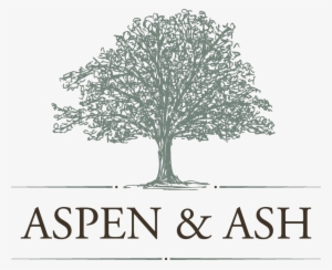 Aspen And Ash - Oak #991943