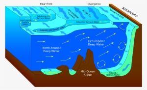 Antarctic Bottom Water - Antarctic Convergence And Divergence #992156