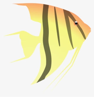 Aquarium, Fish, Yellow, Ocean, Orange, Water - Cartoon Angel Fish Png #992222 Aquarium, Fish, Yellow, Ocean, Orange, Water - Cartoon Angel Fish Png #992222