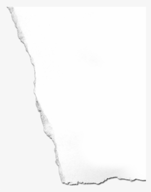 Enter Site - - Portfolio #993984