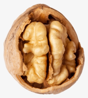 Nuts - Ceviz Içi #994122