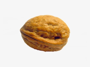 Walnut Png - Walnut In The Shell #994234
