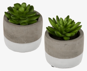 Stone Pots For Succulents #994403