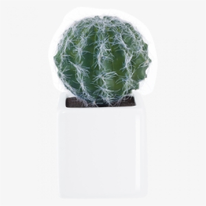 11671000 Asa-selection Deko Cactus Iv - Asa-selection Deko Succulent #994506