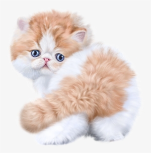 0 1607e7 6194aeed Xl - Cat #994581