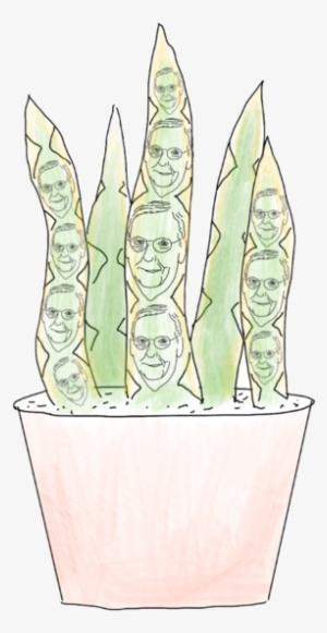 It Is One Of The Most Tolerant, Even Among Succulents, - Horticulture #994632