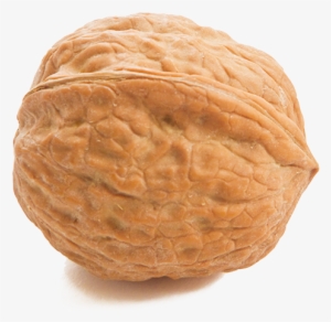 Walnut #994816