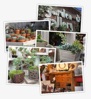 The Garden Gallery, Morro Bay, California - Garden Gallery #994843