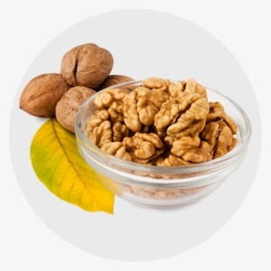 Walnut Kernels - Walnut #994908