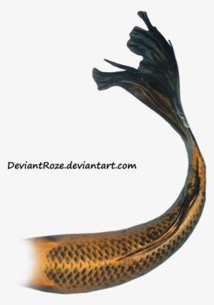 Mermaid Tail 08 By ~deviantroze On Deviantart - Mermaid Tails White Background #995142