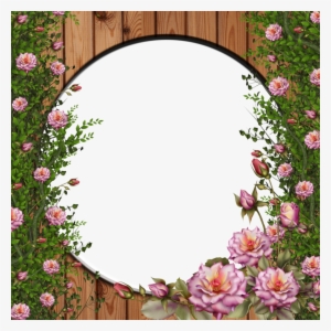 Png Rose By Collect - Rose Flower Frames Png #995280