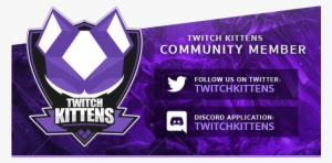 27 Feb - Twitch Kittens #995306
