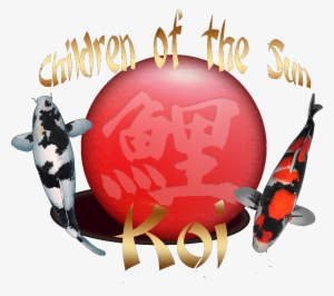 Children Of The Sun Koi #995486