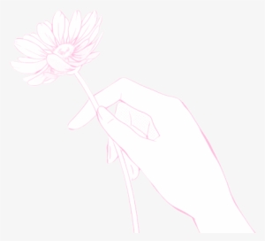 Transparent Edit ✿ Src - Art #995598