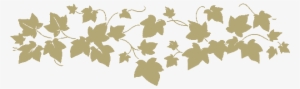 Floral Vines Png - Norwall Wallcoverings Cherry Leafs Wallpaper Border #995618