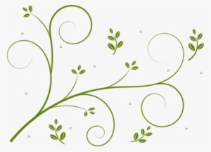 Flower Designs Vine Drawing Flowering Plant - Vine Clipart Transparent #995668
