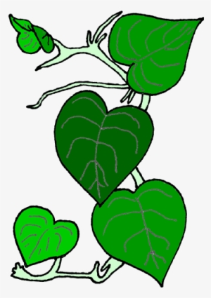 Vines Clip Art #995838