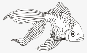 Cod Fish Coloring Page - Graphic Fish Collection Drawn Line Art Stock
